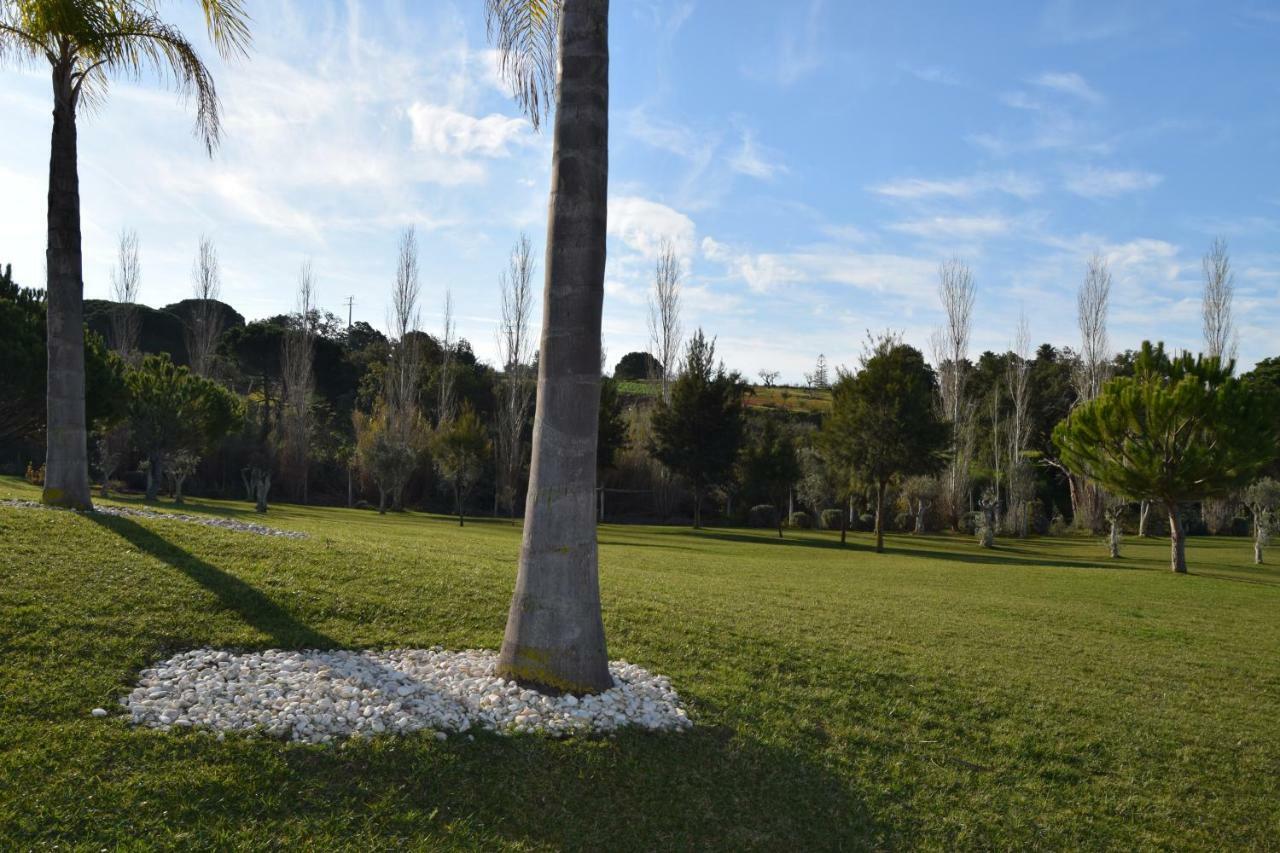Vakantiehuis Branca Albufeira